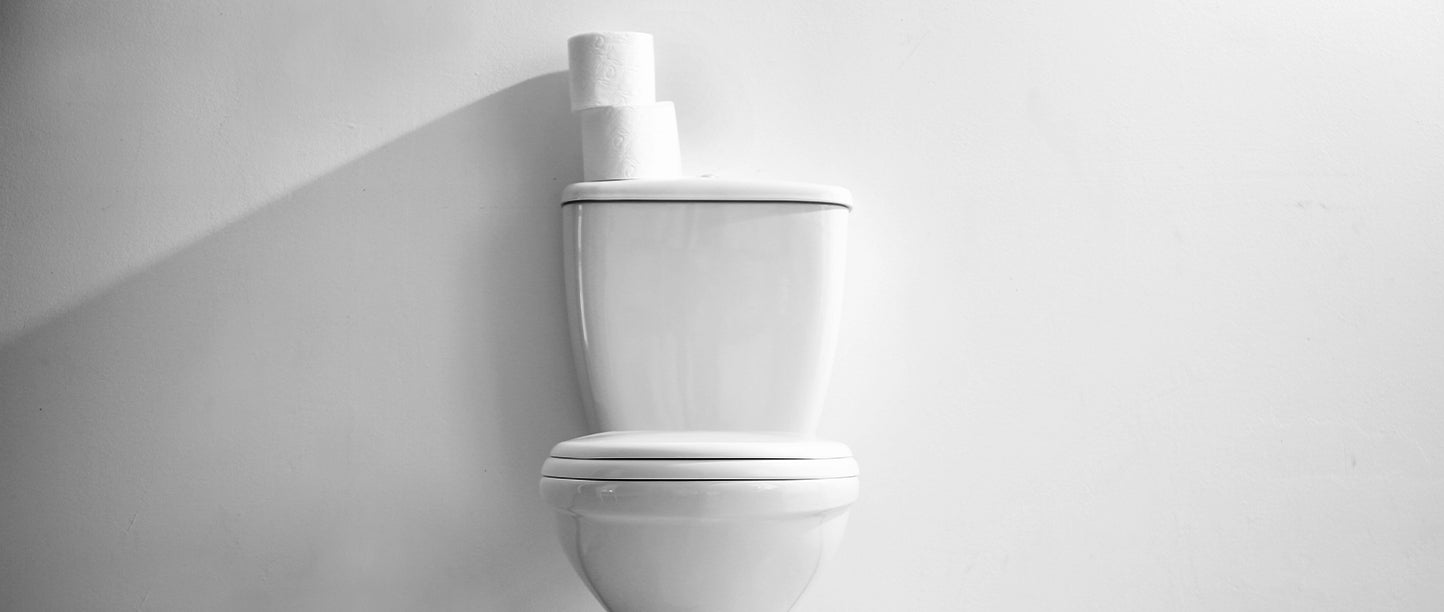 Toilet Seat Sanitizer Spray: Elevating Hygiene Standards
