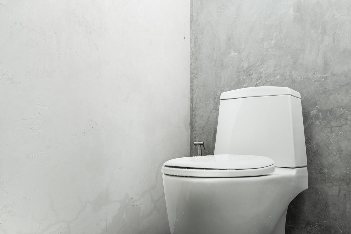 How to Keep Germs at Bay & Disinfect the Toilet Seat-PeeSafe