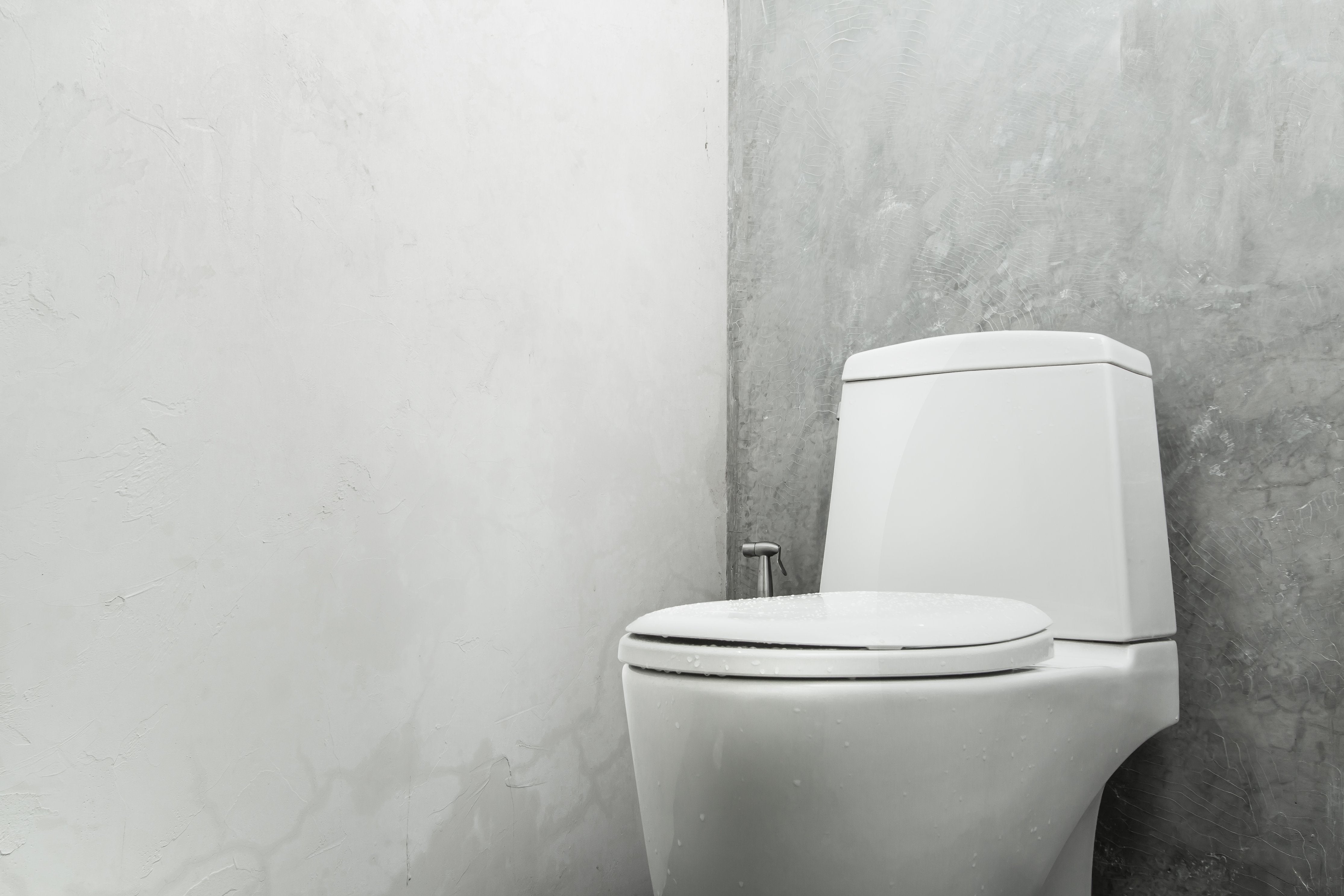 How to Keep Germs at Bay & Disinfect the Toilet Seat-PeeSafe