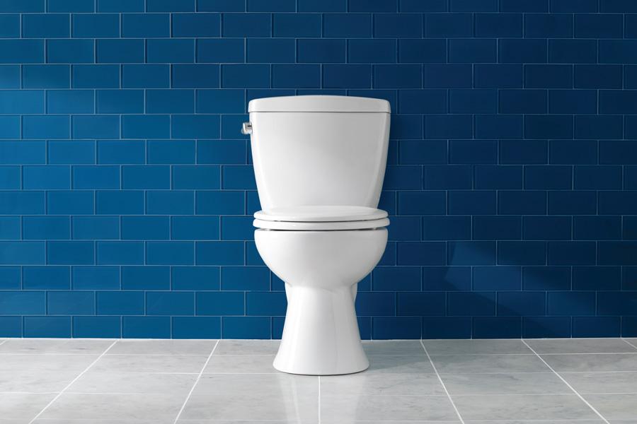 Know about your toilets from PeeSafe