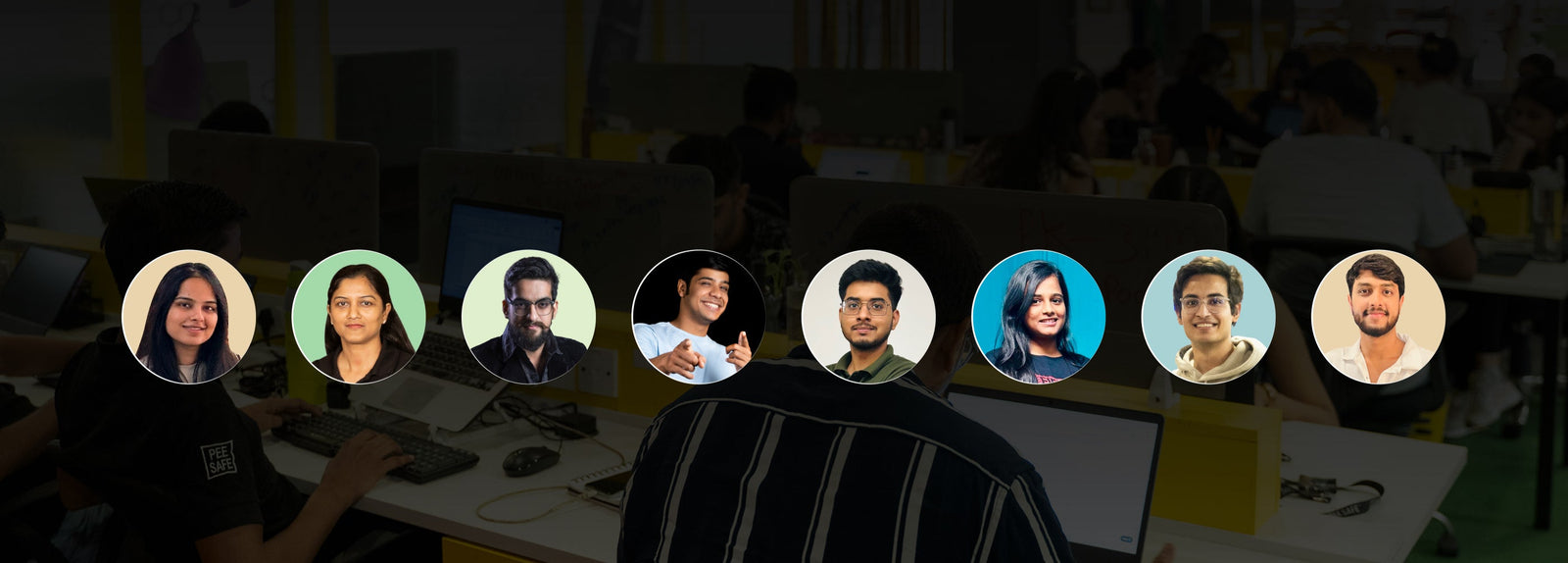 Collection banner