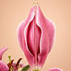 Menstrual Hygiene