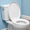 Toilet Hygiene